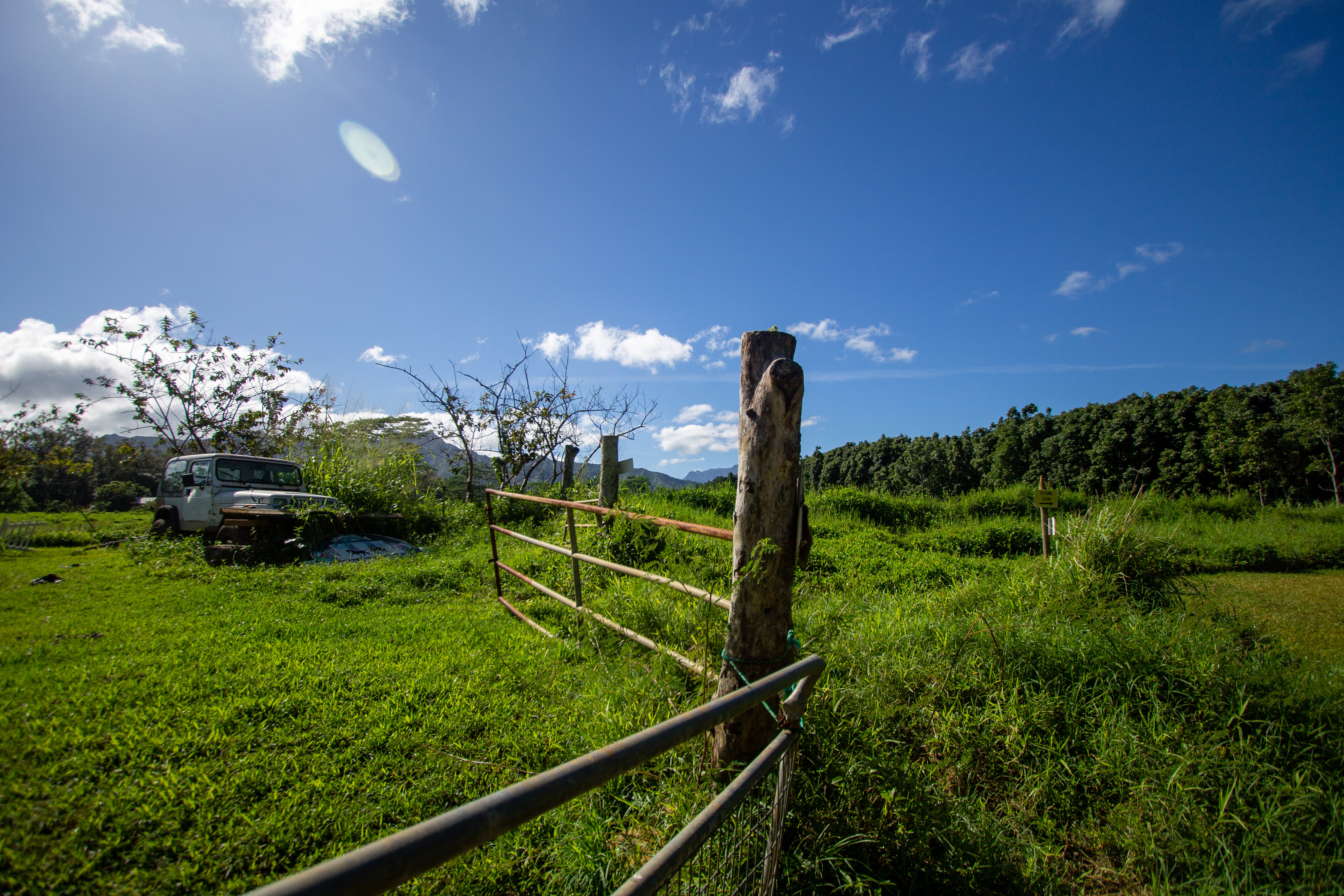 A Landscape in Kaua'i